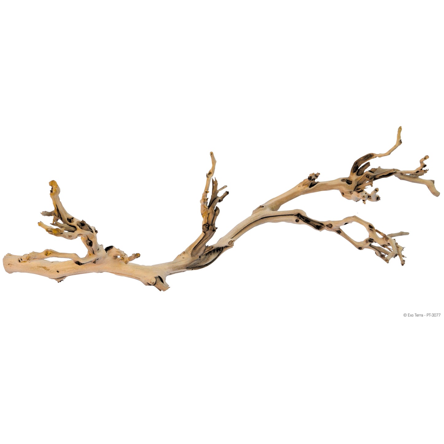 Exo Terra Forest Branch (LG)