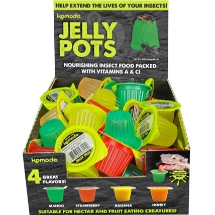 Komodo Jelly Pots