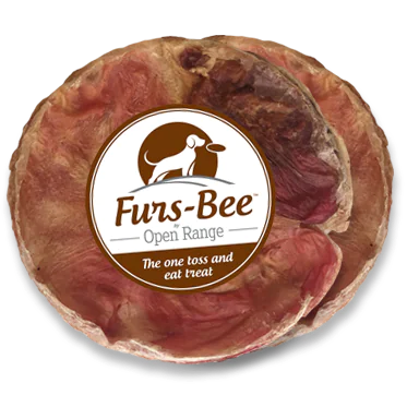 Home Range Furs-Bee Treat for Dogs