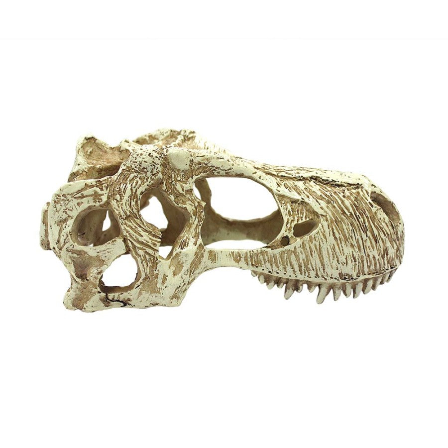 Komodo T-Rex Skull (XL)