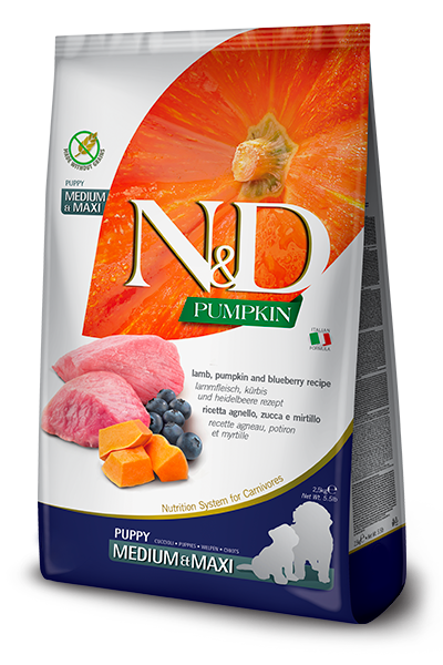 Farmina N&D Puppy GF Pumpkin Lamb/Blueberry Med/Max 26.5lb