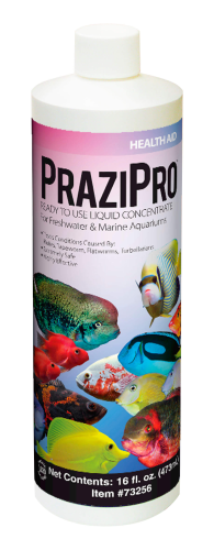 Hikari PraziPro Parasite Treatment for Fresh and Marine Aquariums 4oz