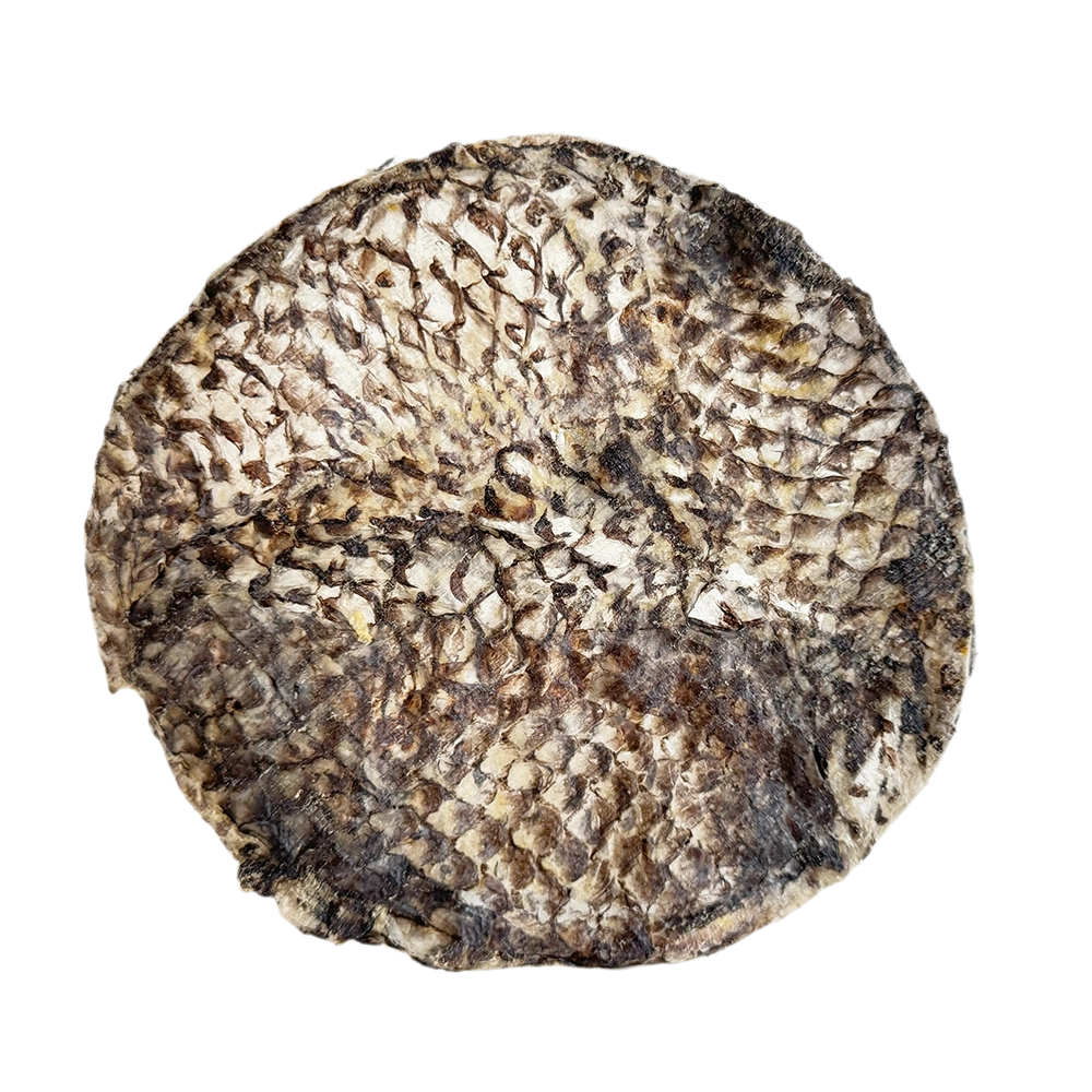 Home Range Furs-Bee Treat for Dogs