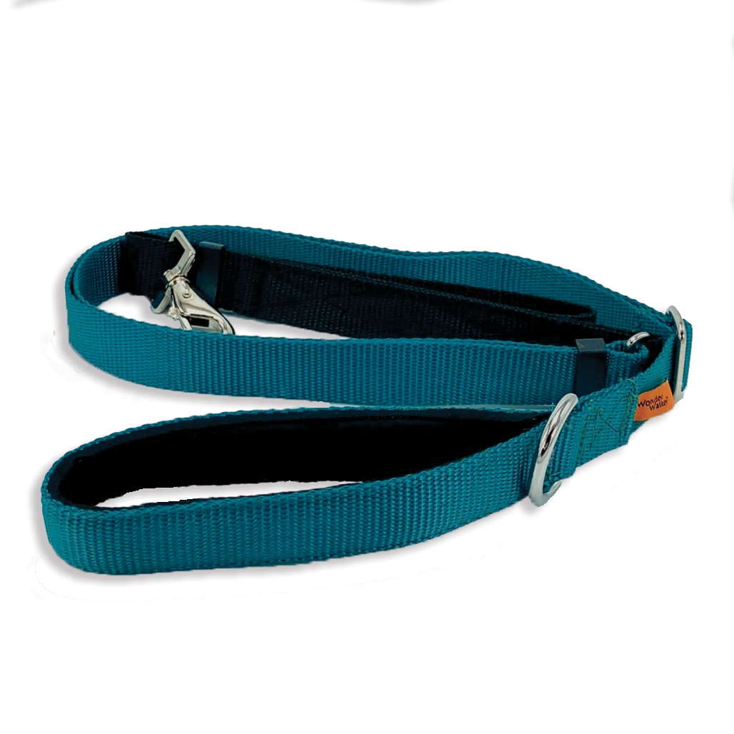 Wonder Walker & Co. Leashes