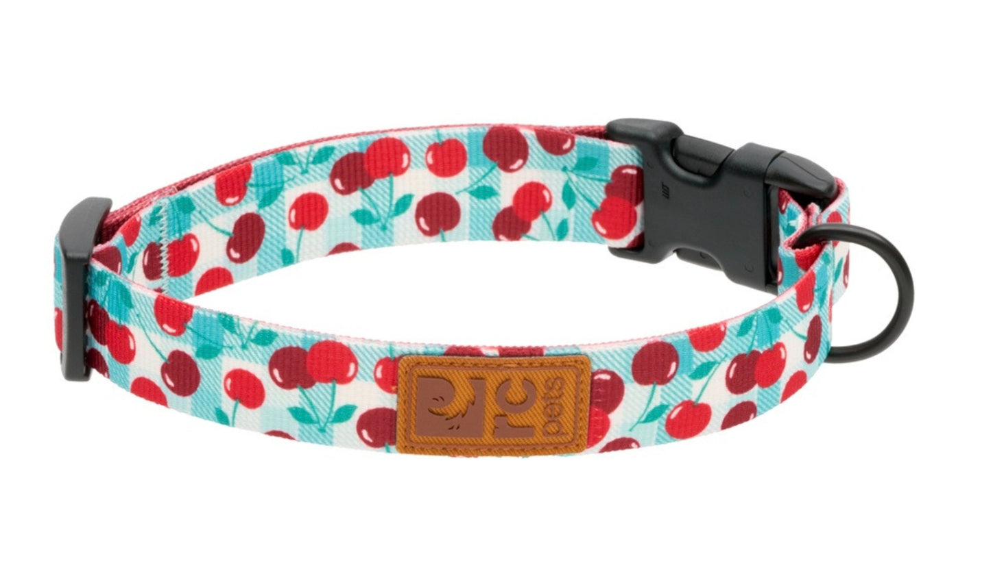 RC Pets Eco Collars for Dogs