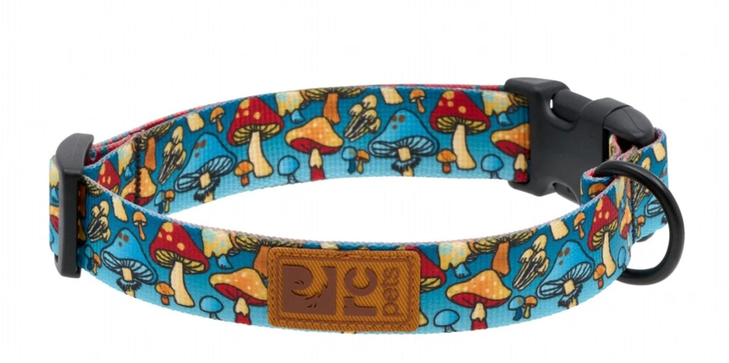 RC Pets Eco Collars for Dogs