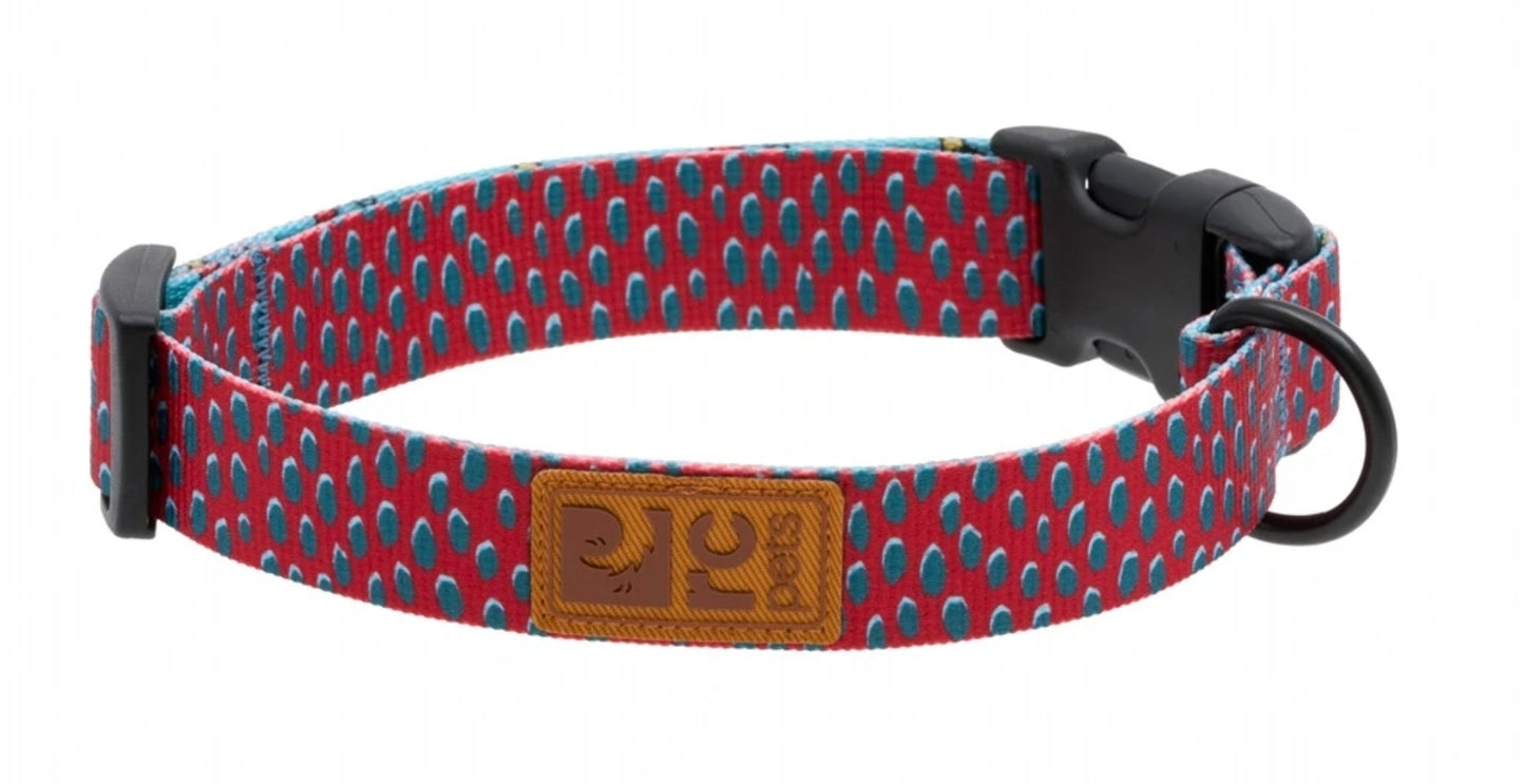 RC Pets Eco Collars for Dogs