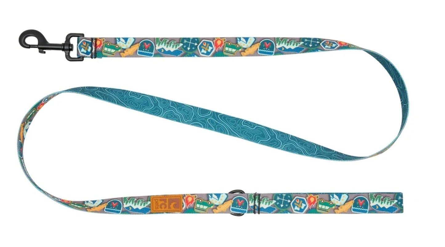 RC Pets Eco Leashes for Dogs