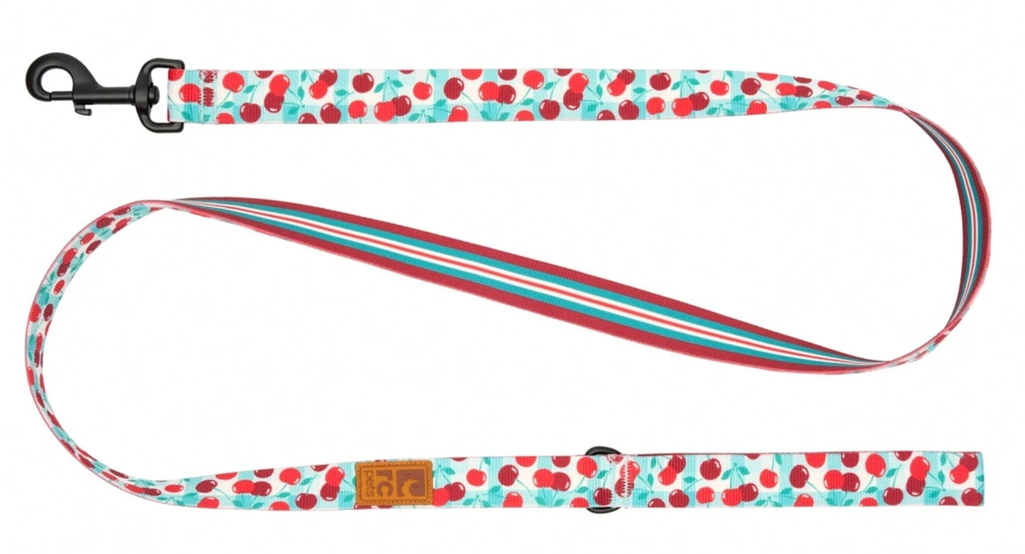 RC Pets Eco Leashes for Dogs