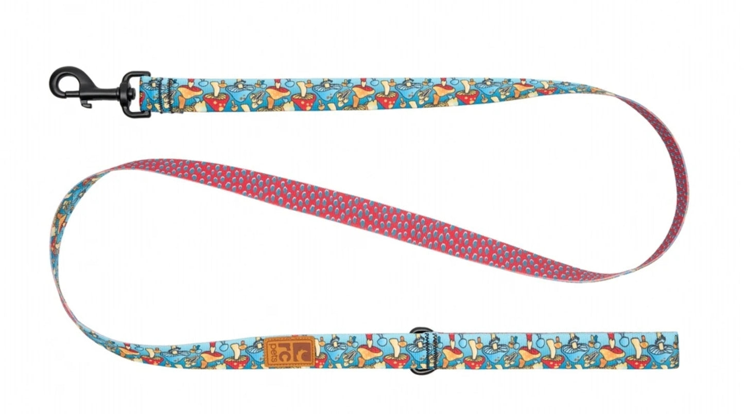 RC Pets Eco Leashes for Dogs