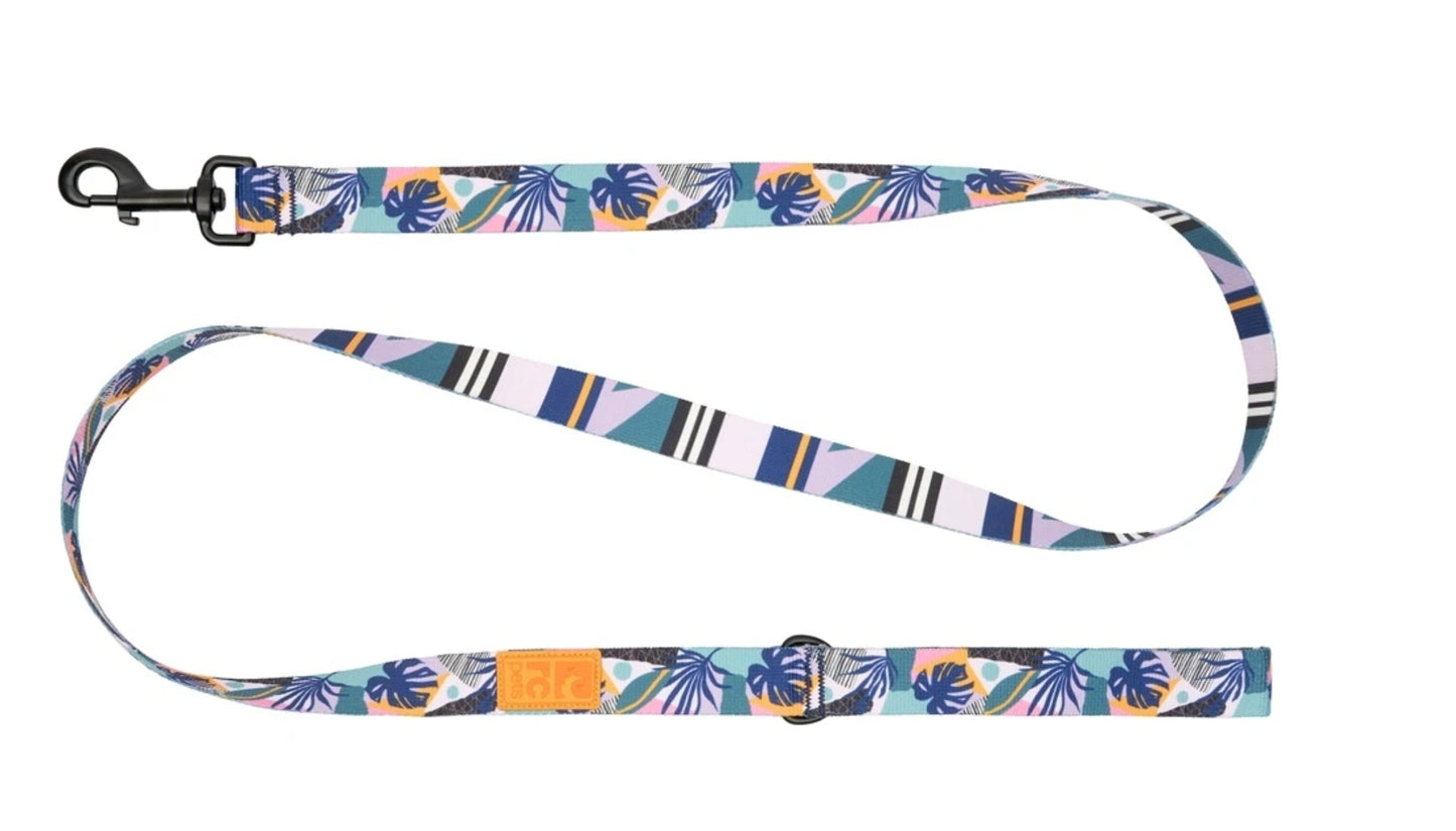 RC Pets Eco Leashes for Dogs