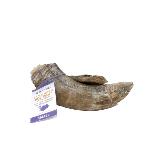 Icelandic Lamb Horn Dog Treat With Marrow SM