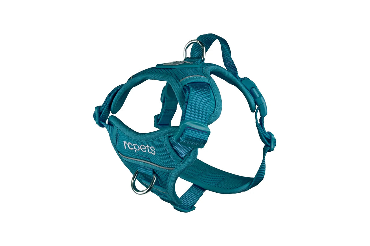RC Pets Forte Step in Harness