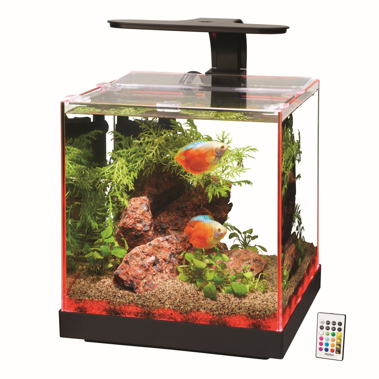 Aqueon Edgelit Rimless Cube Aquarium (3 gallons)