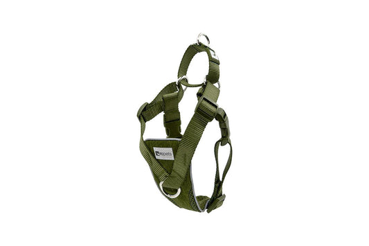 RC Pets Tempo No Pull Harness Olive (MD)