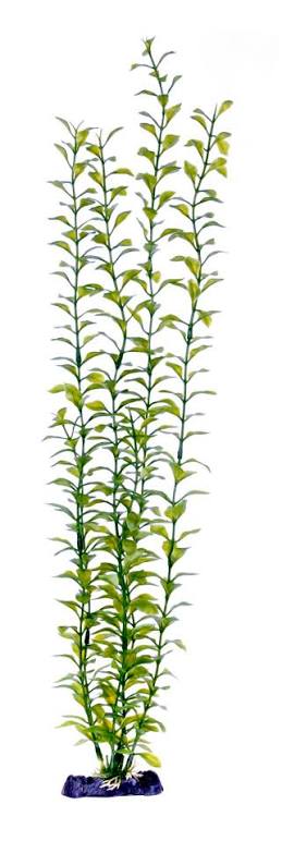 Penn-Plax Sinkers Blooming Ludwigia (Giant)