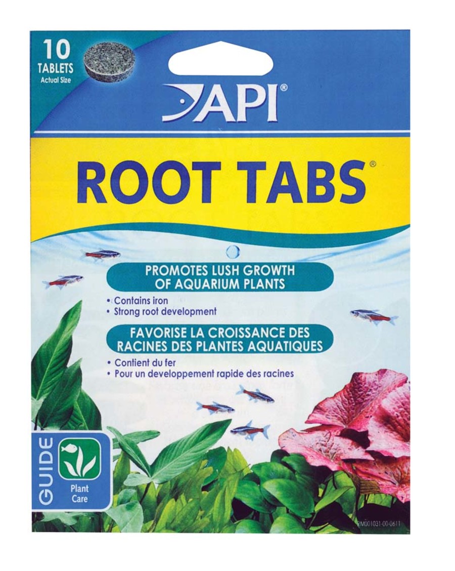 API Root Tabs (10pk)