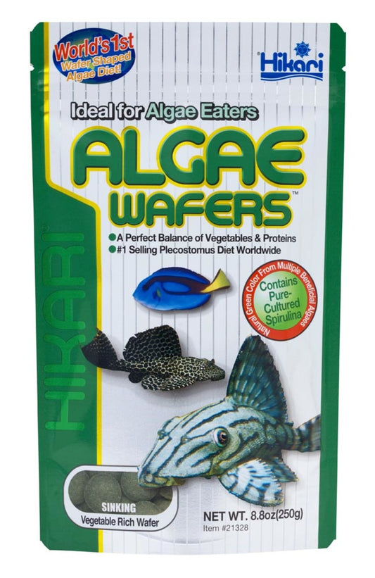 Hikari Sinking Algae Wafers 8.8oz