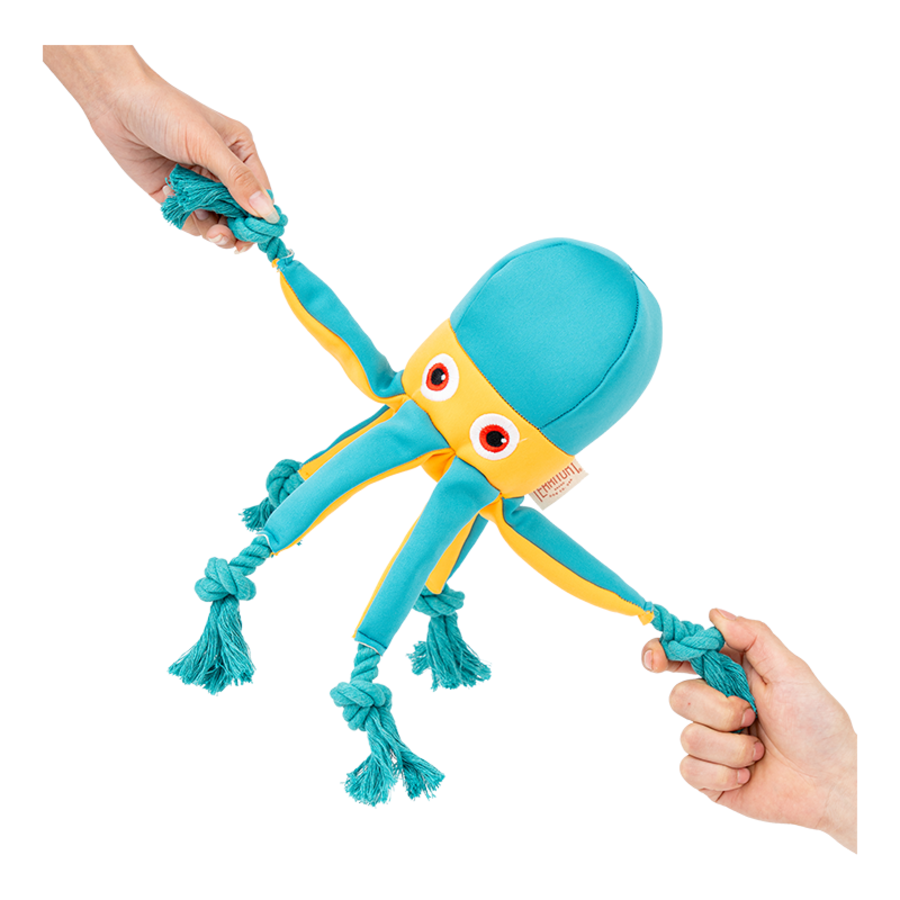 Territory Dog Floating Tug Toy Jelly (12")