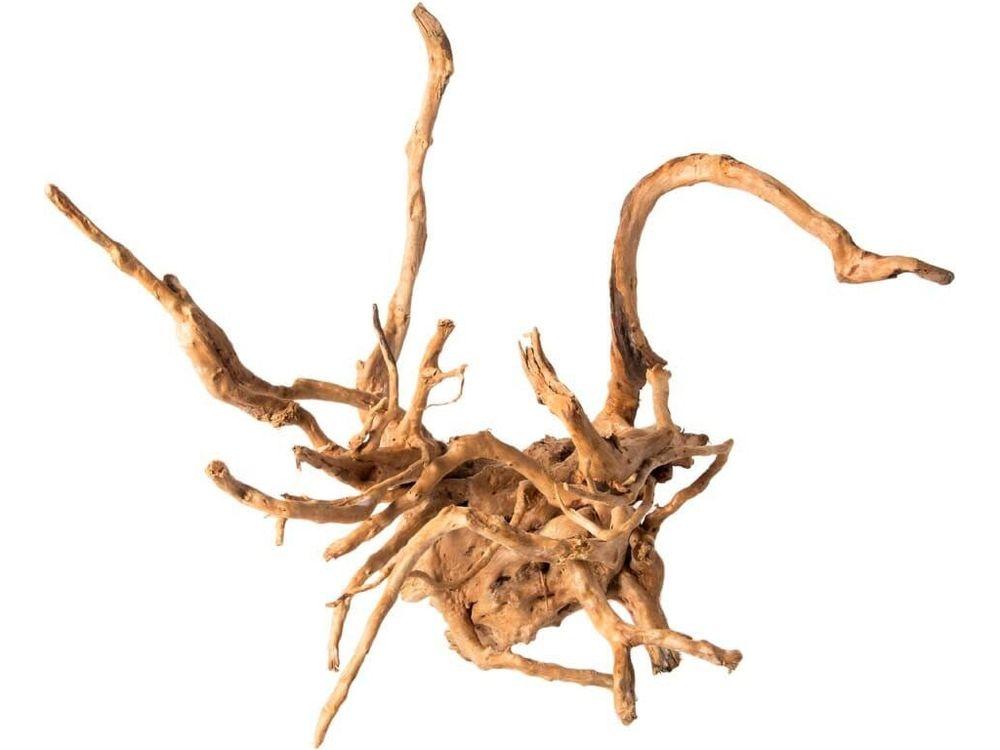 Spiderwood