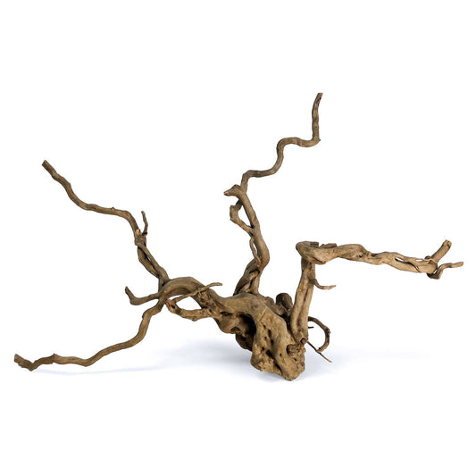Spiderwood