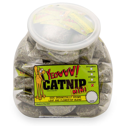 YEOWWW CAT JUG W 50 CATNIP MINI